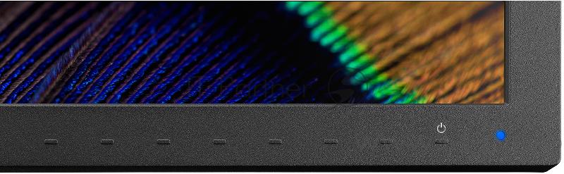 Монитор MultiSync PA311D BK NEC MultiSync PA311D BK 31.5 LCD IPS monitor, Native 4k 4096x2160, HDR, 2xHDMI, DP, USB-C, LAN