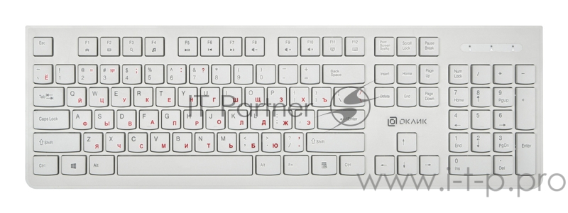 Клавиатура Oklick 505M белый USB slim