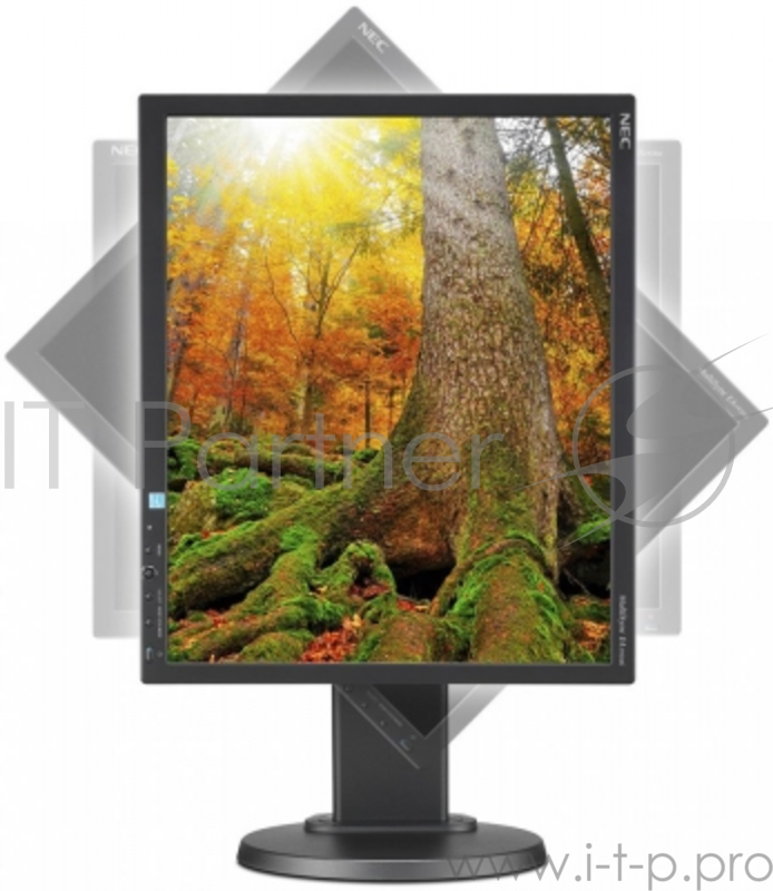 Монитор NEC 19 LCD EA193Mi BK/BK, Black {1280x1024, 1000:1, 250, 178/178, DVI-D, DP}