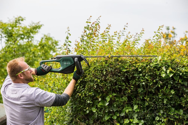 Кусторез BOSCH Advanced HedgeCut 70 (06008C0900) электрический, 500Вт, нож 70см/34мм