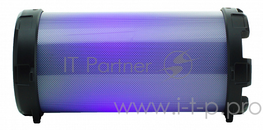 Аудиосистема портативная econ EPS-100