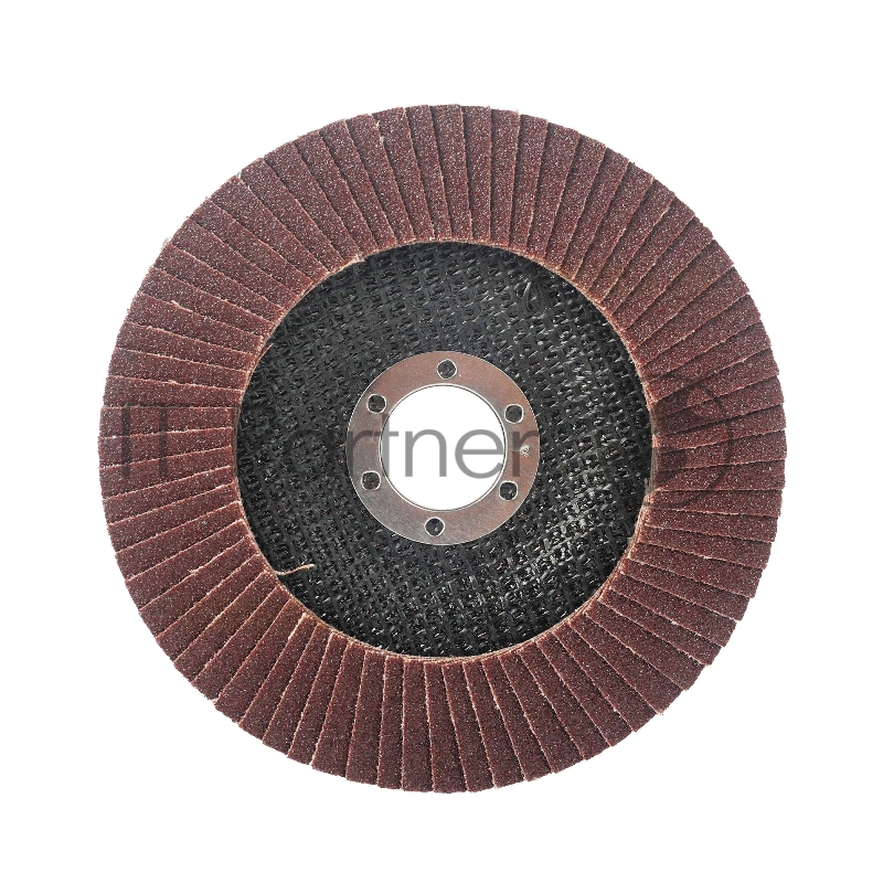 Круг лепестковый торцевой Edge by Patriot 125мм*22,23мм*P120