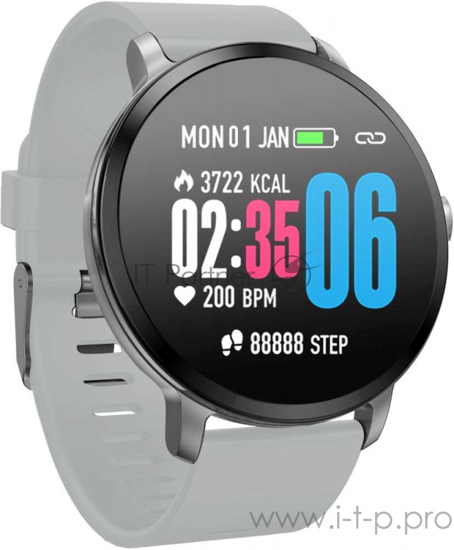 Смарт-часы Jet Sport SW-1 1.33 LCD серебристый (SW-1 GREY)