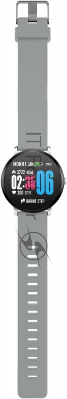 Смарт-часы Jet Sport SW-1 1.33 LCD серебристый (SW-1 GREY)