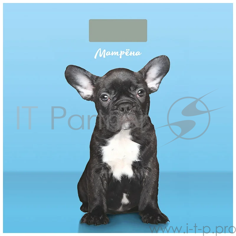 Весы напольные электронные МАТРЁНА МА-090 собака (стеклянная поверхность, 180 кг)