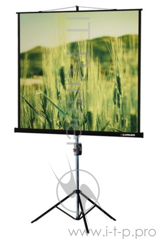 Экраны LUMIEN Lumien Master View LMV-100102 Экран на треноге 153x 153см настенно-потолочный рулонный черный