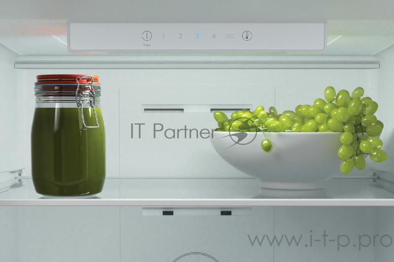 Холодильник Candy CCRN 6180S