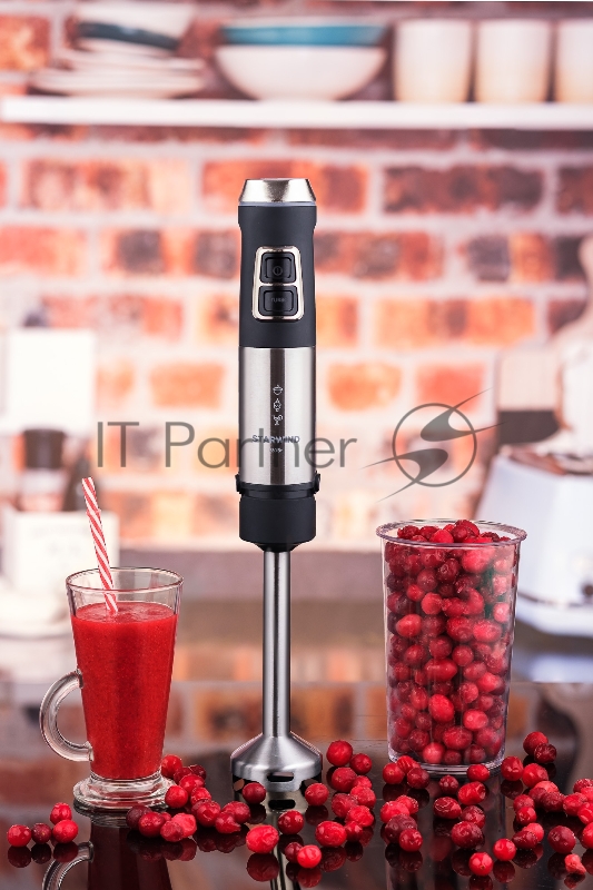 Блендер погружной Starwind SBP3524 1000Вт черный