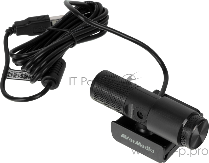 Камера Web Avermedia PW 313 черный 2Mpix USB2.0 с микрофоном