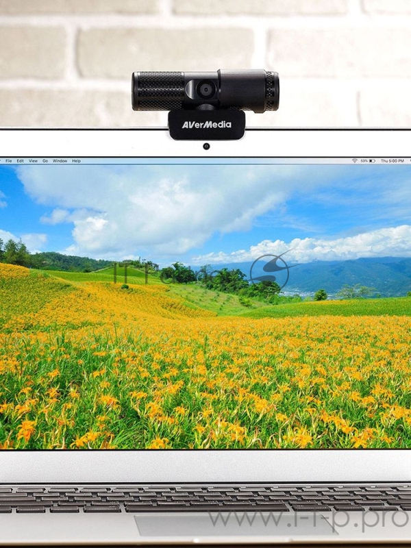 Камера Web Avermedia PW 313 черный 2Mpix USB2.0 с микрофоном