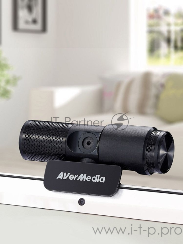 Камера Web Avermedia PW 313 черный 2Mpix USB2.0 с микрофоном