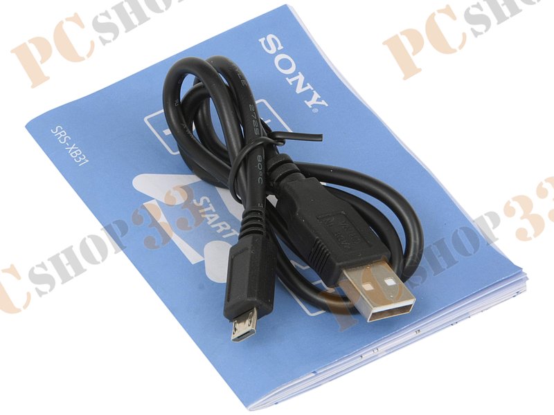 Акустическая система Sony SRS-XB31/BC, портативная, черный (Bluetooth)