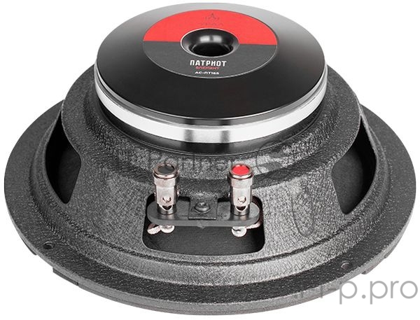 Колонки автомобильные Ural Patriot АС-ПТ165 (без решетки) 300Вт 99.2дБ 4Ом 16.5см (6 1/2дюйм) (ком.:1кол.) высокочастотные однополосные
