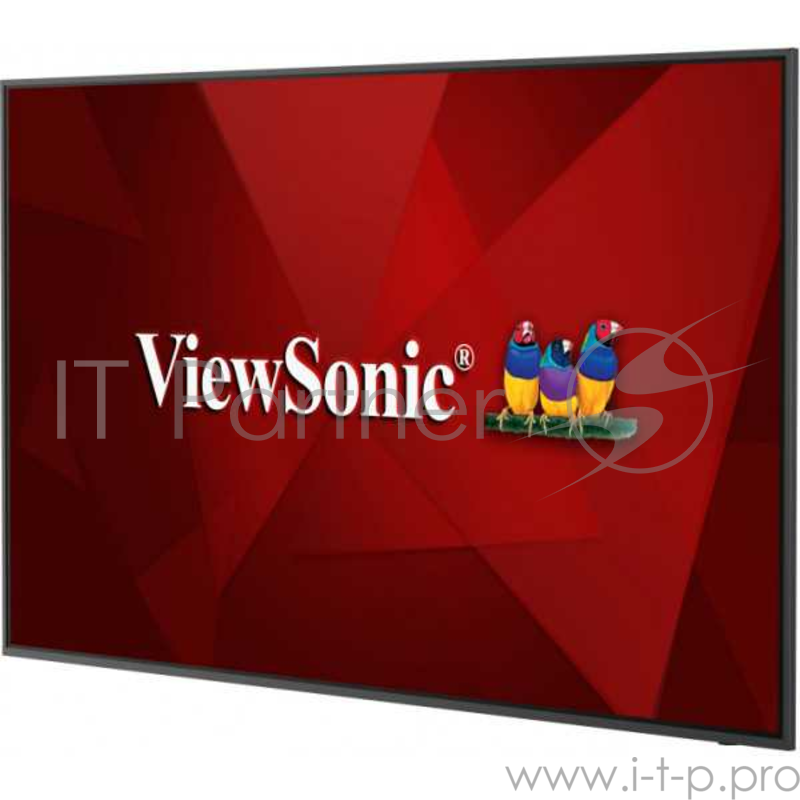 Профессиональная панель 65 ViewSonic CDE6520