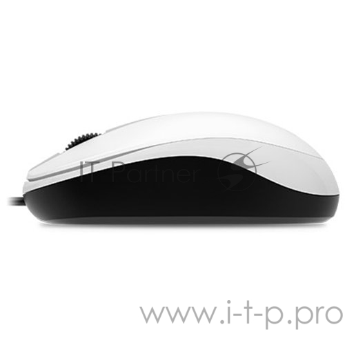 Мышь Genius Mouse DX-120 ( Cable, Optical, 1000 DPI, 3bts, USB ) White