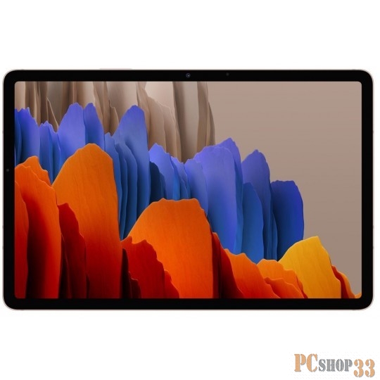 10.0/бронзовый/13Mpix/8Mpix/BT