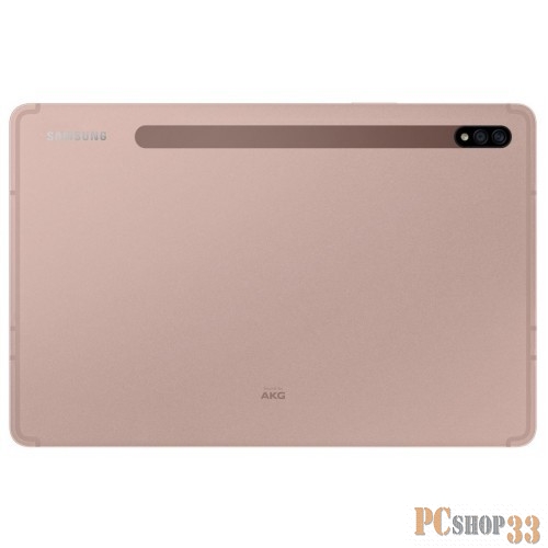 10.0/бронзовый/13Mpix/8Mpix/BT