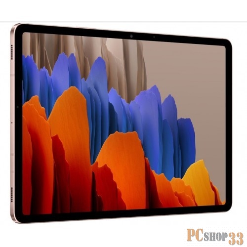 10.0/бронзовый/13Mpix/8Mpix/BT