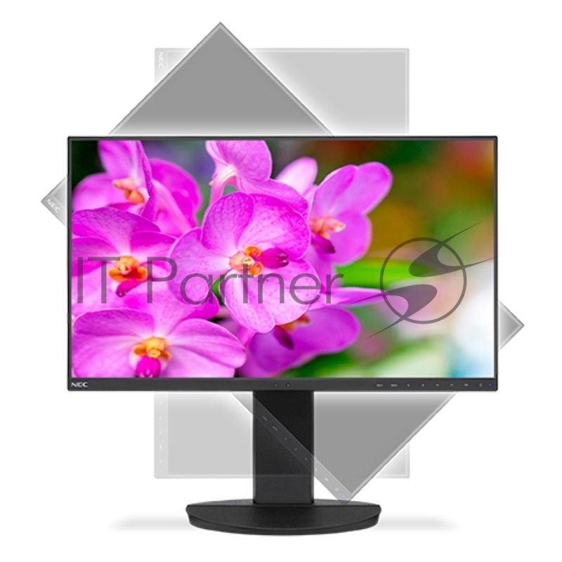 Монитор NEC 23.8 EA241F LCD Bk/Bk ( IPS 16:9 250cd/m2 1000:1 5 ms 1920x1080 178/178 D-sub DVI-D HDMI DP USB HAS 150mm Tilt Swiv 170/170 Pivot Spk 2х1W )