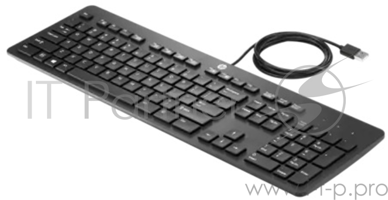 Клавиатура HP (Bulk 12) USB Business Slim Keyboard