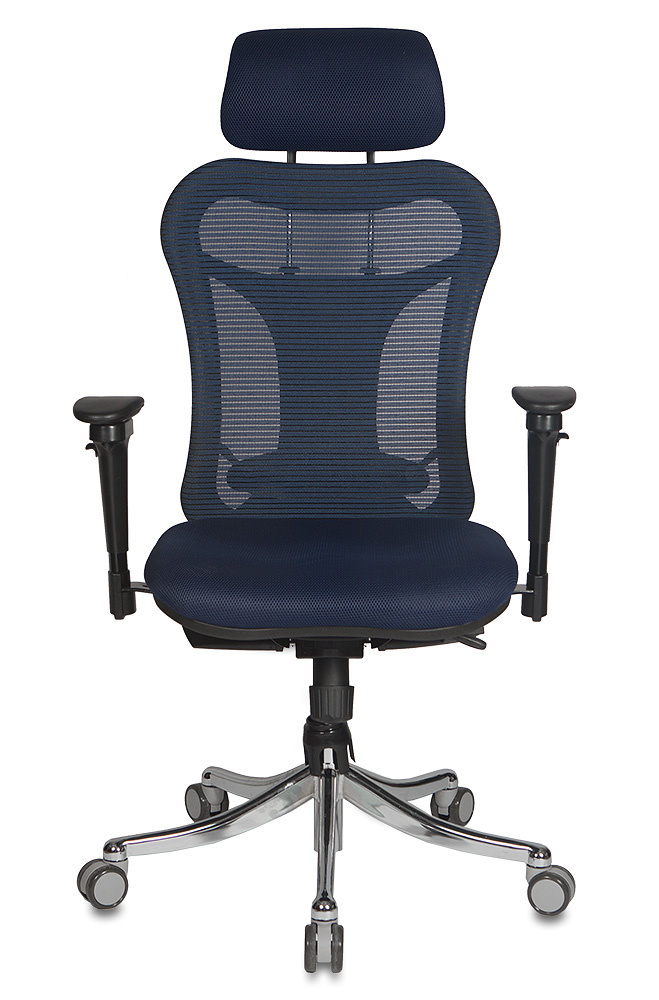 Кресло руководителя Бюрократ CH-999ASX/BL/TW-10N спинка сетка синий сиденье темно-синий TW-10N крестовина хром
