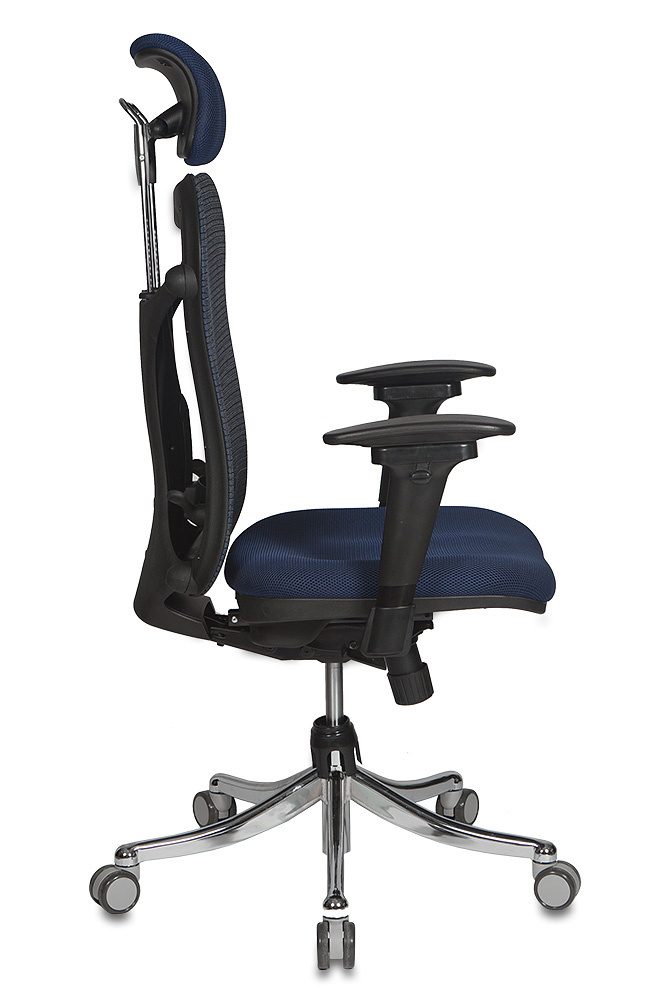Кресло руководителя Бюрократ CH-999ASX/BL/TW-10N спинка сетка синий сиденье темно-синий TW-10N крестовина хром