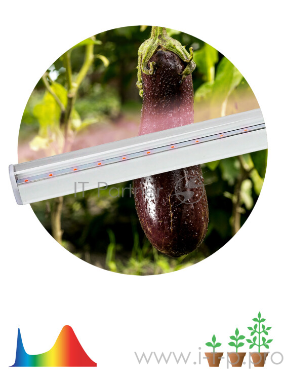 Светильник ЭРА LLED-05-T5-FITO-9W-W линейный led фито (25/875)