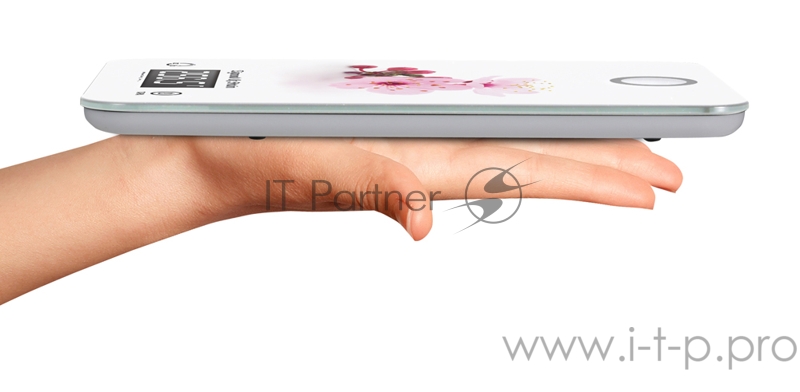 Кухонные весы Zigmund & Shtain DS-110