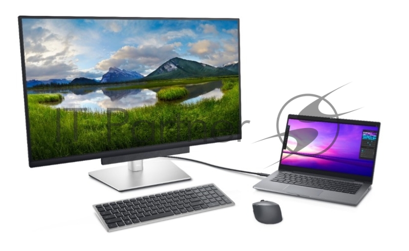 Монитор DELL P3221D DELL P3221D 31.5, IPS, 2560x1440, 5ms, 350cd/m2, 1000:1, HDMI,DP, USB-C, 2xUSB 2.0, 2xUSB 3.2, HAS, Tilt, Pivot, Black, 3Y