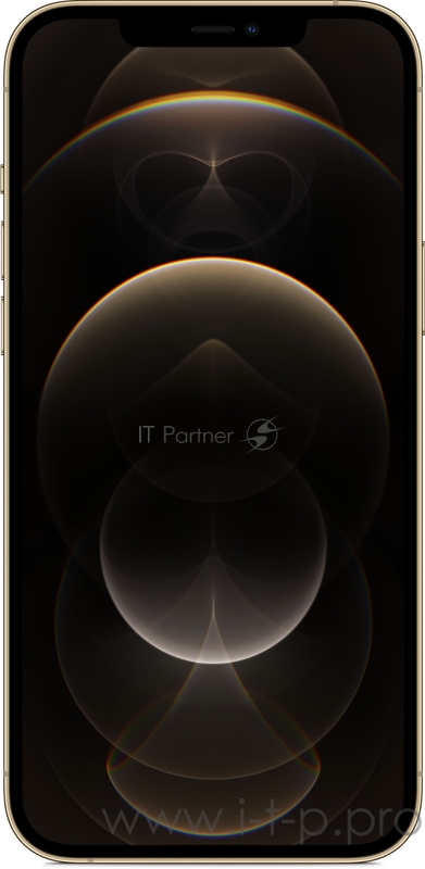 Apple iPhone 12 Pro Max (6,7) 256GB Gold