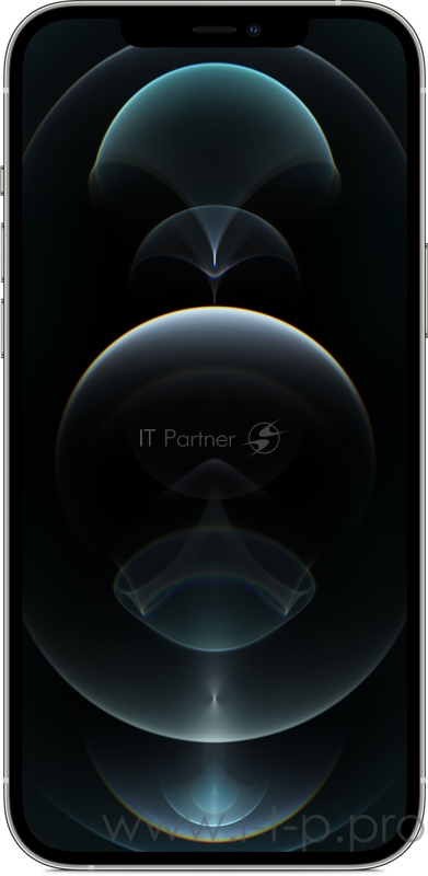 Apple iPhone 12 Pro Max (6,7) 256GB Silver