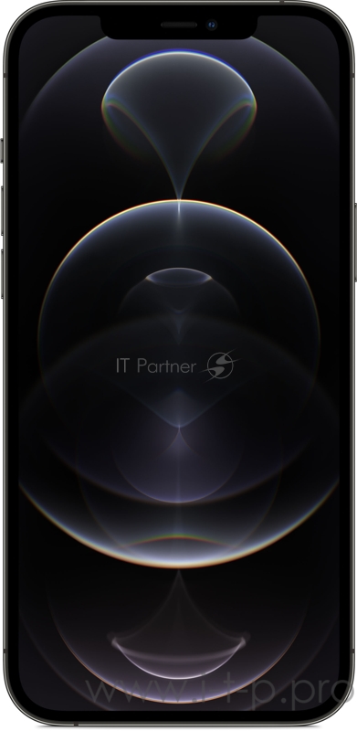 Apple iPhone 12 Pro Max (6,7) 512GB Graphite