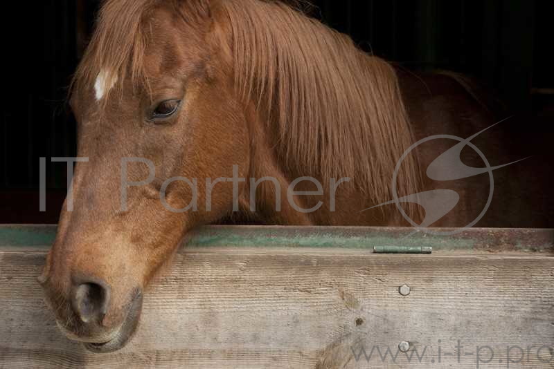 Объектив Tamron SP 70-300mm F/4-5.6 Di VC USD A005E для Canon