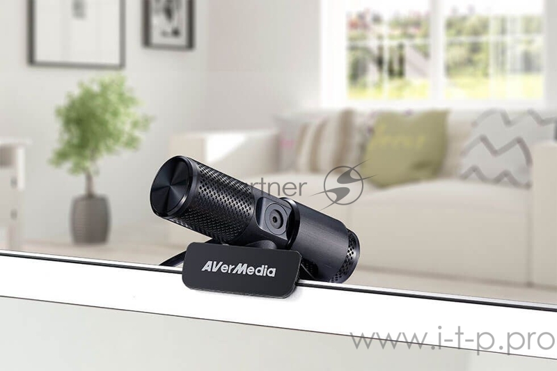 Камера Web Avermedia BO317 черный 2Mpix USB2.0 с микрофоном