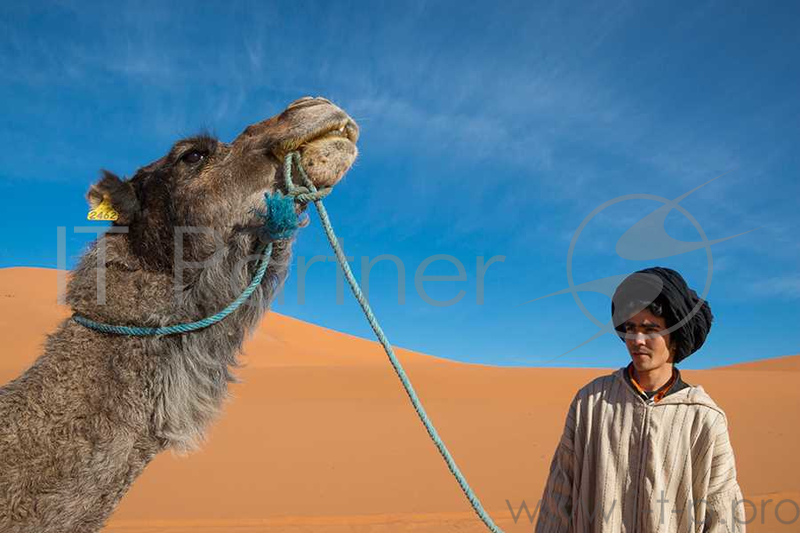 Объектив Tamron 16-300mm F/3.5-6.3 Di II VC PZD Macro B016E для Canon