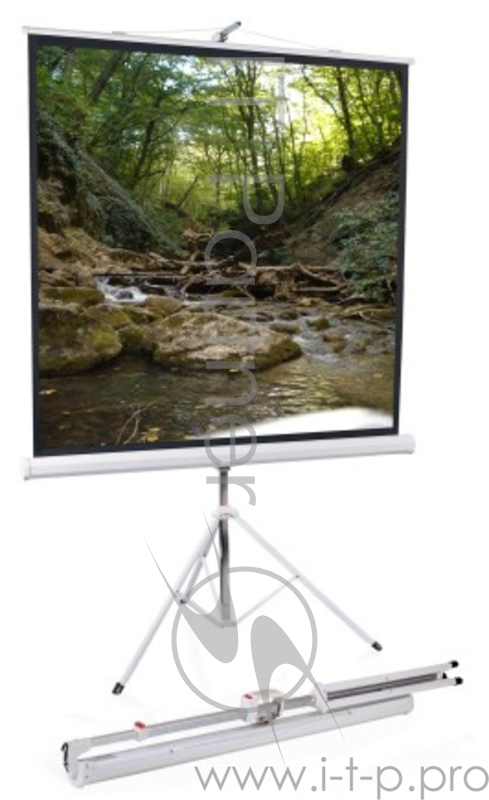 Экран на штативе Apollo 220*165(212*157)MW