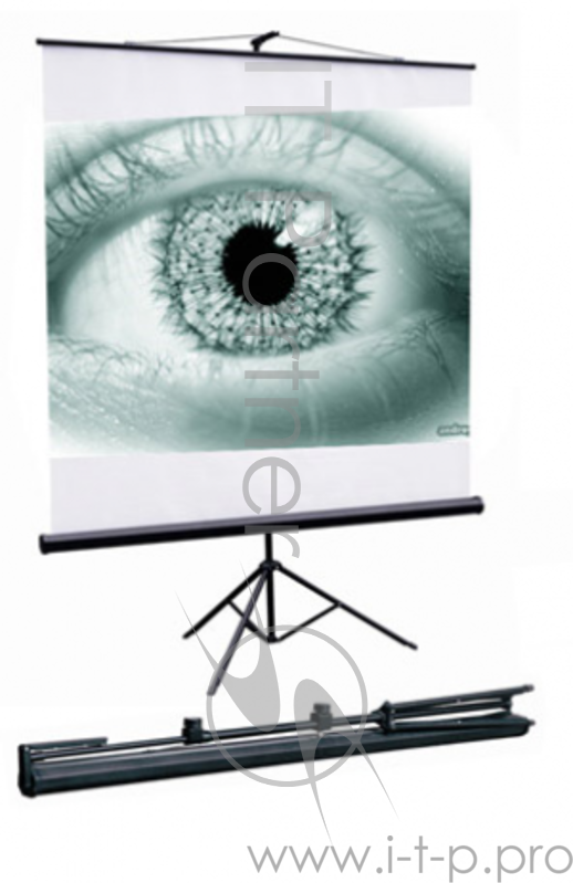 Экран на штативе Apollo-T 213х213 MW