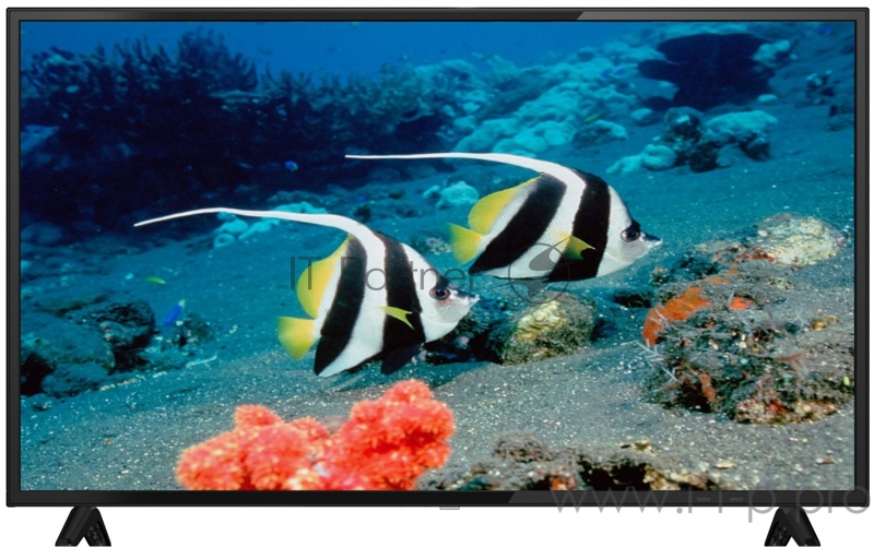 HD/50Hz/DVB-T/DVB-T2/DVB-C/DVB