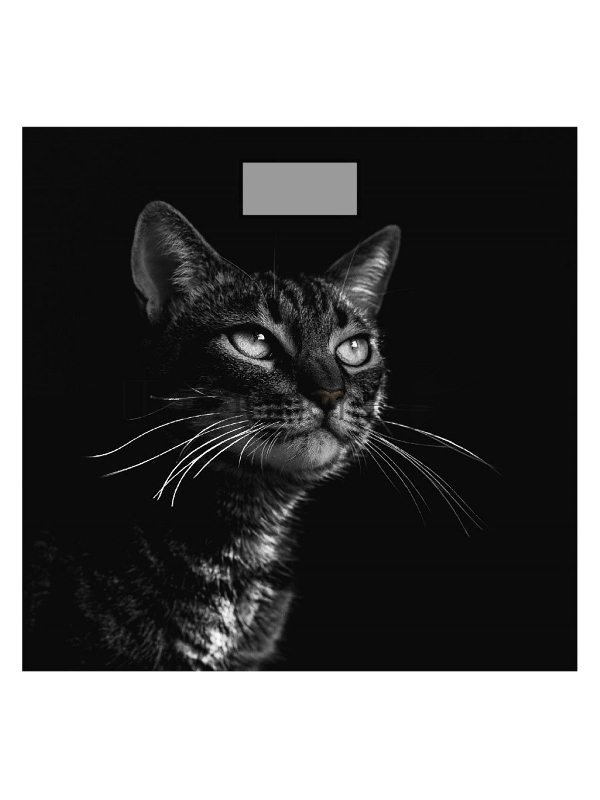 Весы Добрыня DO - 3006C (180кг) электр.(черный кот)