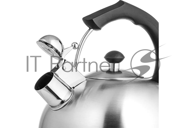 Чайник металлический LARA LR00-06 (матовый) 4.0л, индукционное дно 0.3мм