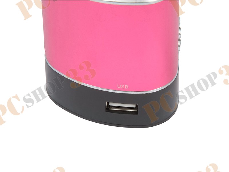 Акустическая система Flextron F-CPAS-340B1-PK, 3Вт, с MP3 плеером, с FM-радио, портативная, розовый
