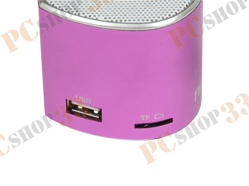 Акустическая система Flextron F-CPAS-328B1-PR, 3Вт, с MP3 плеером, с FM-радио, портативная, фиолетовый