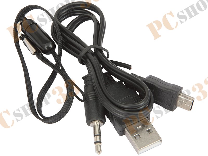 Акустическая система Flextron F-CPAS-328B1-PR, 3Вт, с MP3 плеером, с FM-радио, портативная, фиолетовый