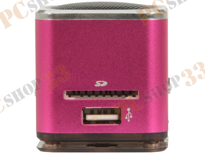 Акустическая система Flextron F-CPAS-322B1-PK, 3Вт, с MP3 плеером, с FM-радио, портативная, розовый