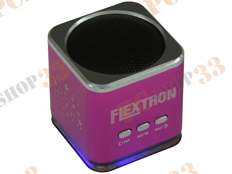 Акустическая система Flextron F-CPAS-322B1-PK, 3Вт, с MP3 плеером, с FM-радио, портативная, розовый