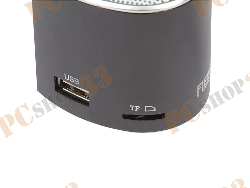 Акустическая система Flextron F-CPAS-328B1-BK, 3Вт, с MP3 плеером, с FM-радио, портативная, черный