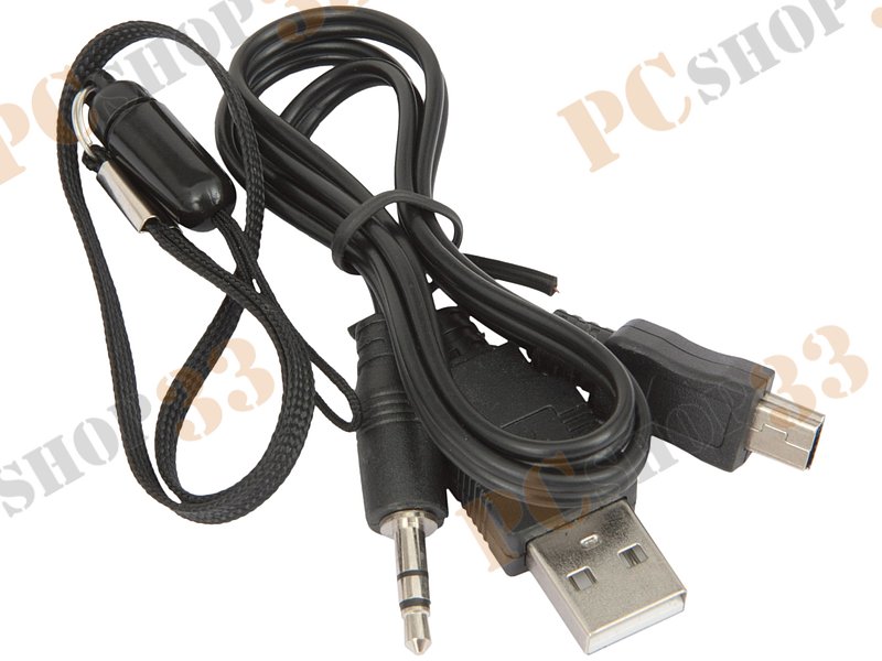 Акустическая система Flextron F-CPAS-328B1-BK, 3Вт, с MP3 плеером, с FM-радио, портативная, черный