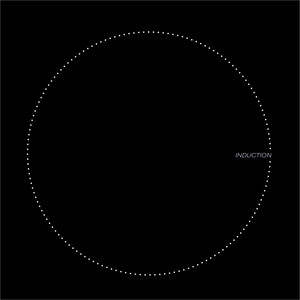 Индукционная варочная поверхность Lex EVI 320 черный