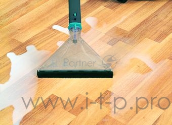 Моющий пылесос с аквафильтром Hydra Rain Plus Arnica, вишневый