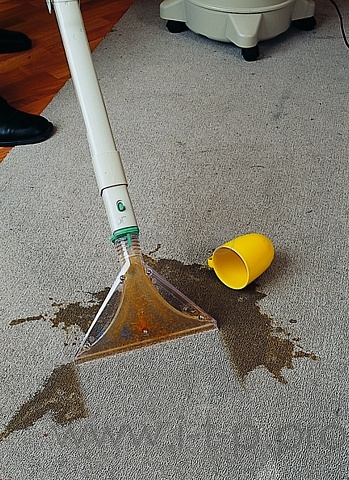 Моющий пылесос с аквафильтром Hydra Rain Plus Arnica, вишневый